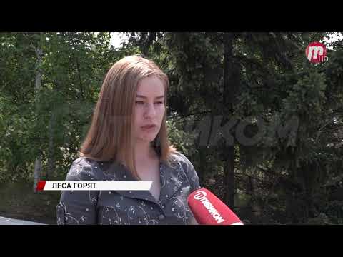 В лесах Баргузинского района с 6 июля введен режим ЧС