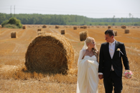 groom, bride, wheatfield, hay field, wedding bouquet, embrace, wedding dress, agriculture, feed, food