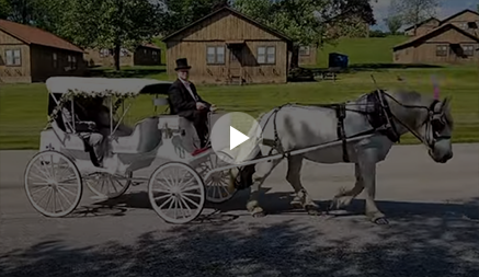 Carriage Limousine Service - Horse Drawn Carriages: Our Victorian carriage at a wedding in Warren OH at Avalon Inn