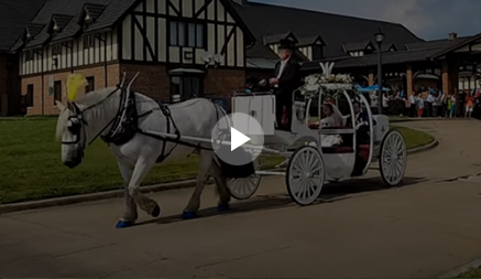 Carriage Limousine Service - Horse Drawn Carriages: Our Cinderella Carriage at a wedding at Landoll
